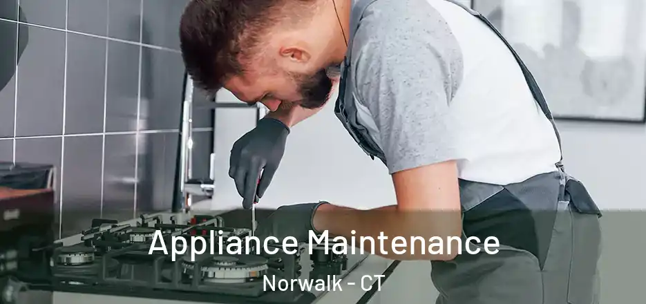 Appliance Maintenance Norwalk - CT