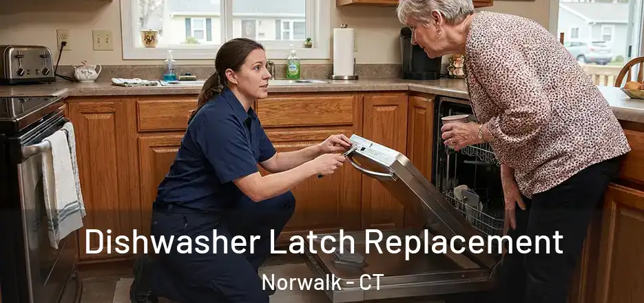 Dishwasher Latch Replacement Norwalk - CT