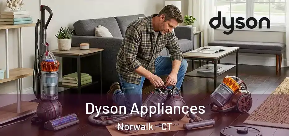  Dyson Appliances Norwalk - CT