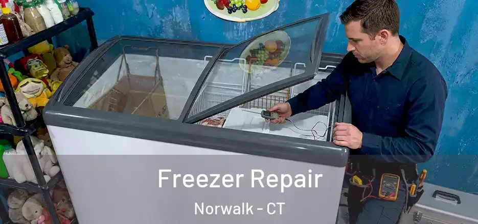  Freezer Repair Norwalk - CT