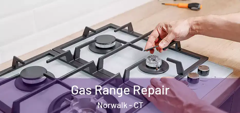  Gas Range Repair Norwalk - CT