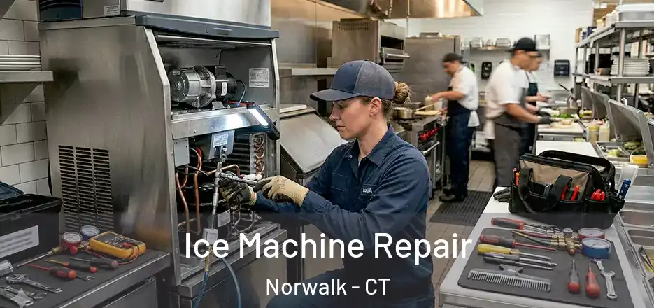  Ice Machine Repair Norwalk - CT