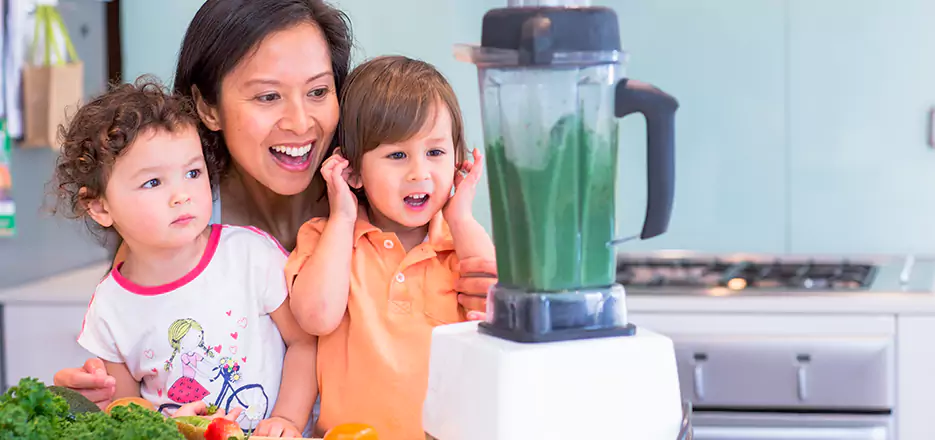 Juicer and Mixer Blender Repair in Norwalk 
