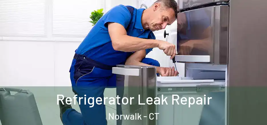 Refrigerator Leak Repair Norwalk - CT