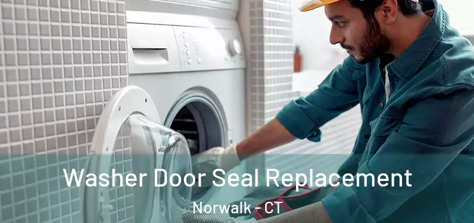  Washer Door Seal Replacement Norwalk - CT