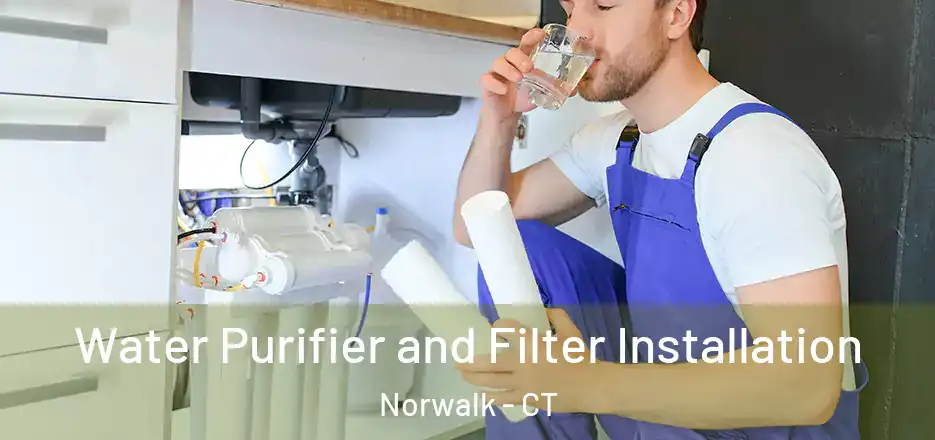 Water Purifier and Filter Installation Norwalk - CT